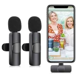 Microphone