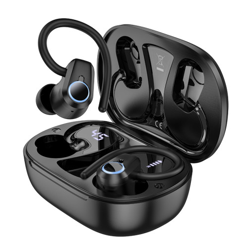 Hoco EQ8 Pure Joy Over-Ear Hook True Wireless Earbuds – Bluetooth 5.3 & LED Power Display